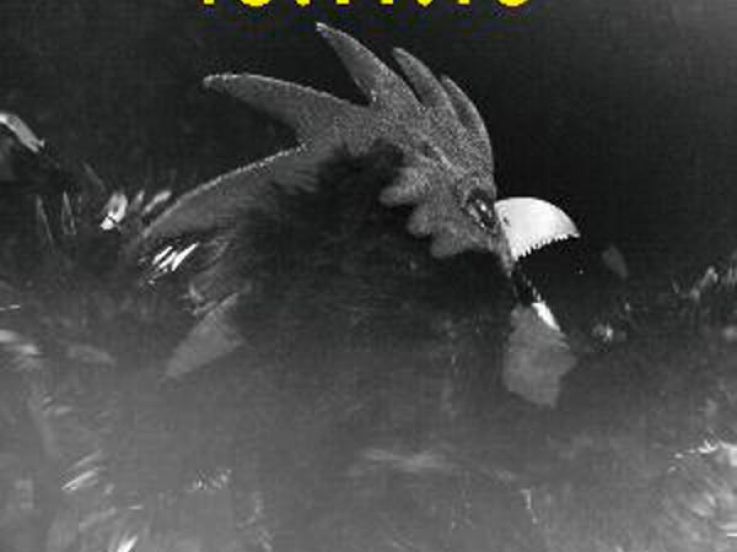 The Shoes en concert à l’Elysée Montmartre de Paris en novembre 2016