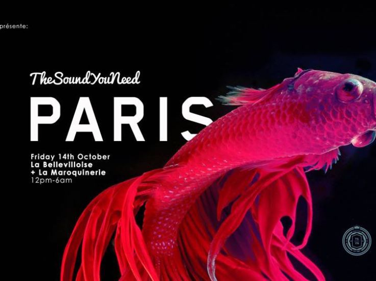 TheSoundYouNeed Festival Paris 2016 à La Bellevilloise et La Maroquinerie