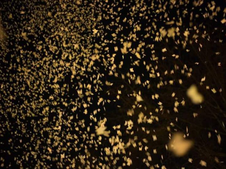 Nuit Blanche 2016 à Paris : Tempête Blanche by Anne Cazaubon