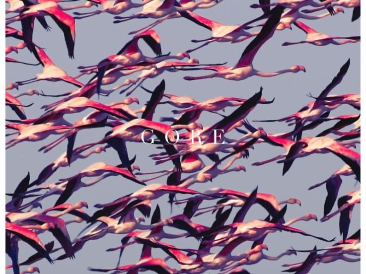 Deftones en concert à l'Olympia de Paris en mai 2017