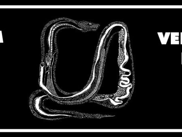 Tripalium Arena au Rex Club