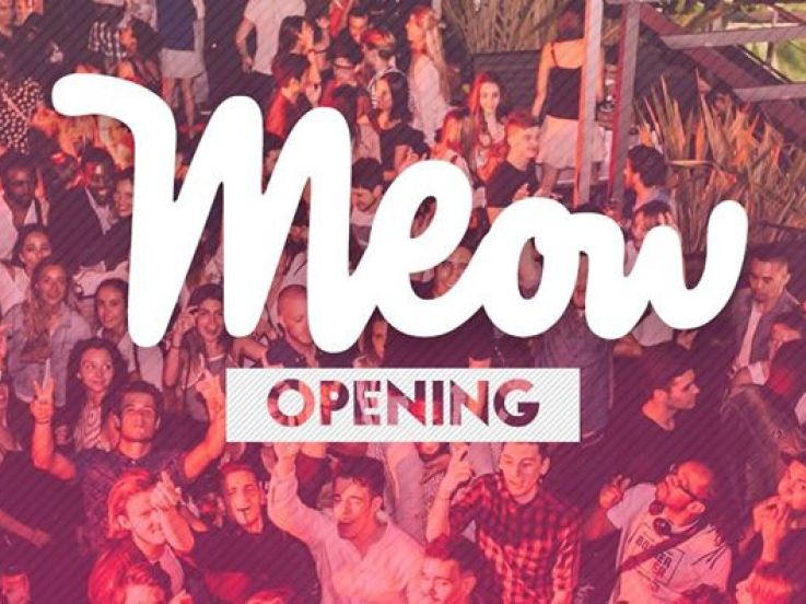 MEOW Opening au Café Oz Rooftop