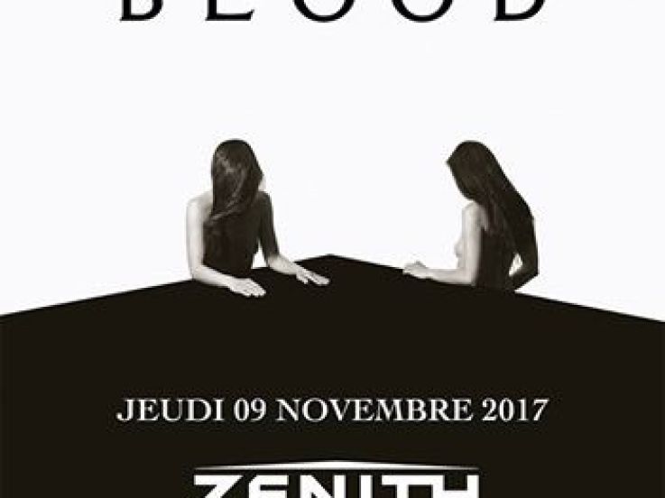 Royal Blood en concert au Zénith de Paris en novembre 2017