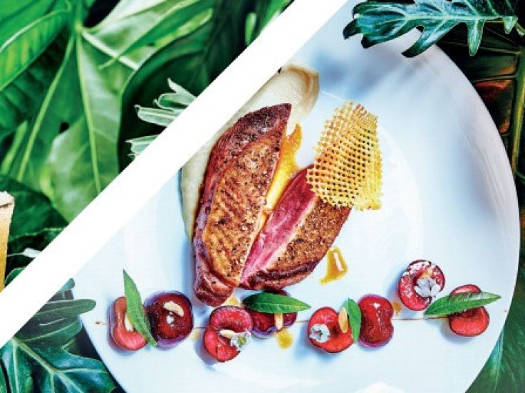 La terrasse du Mini Palais, saison 2017