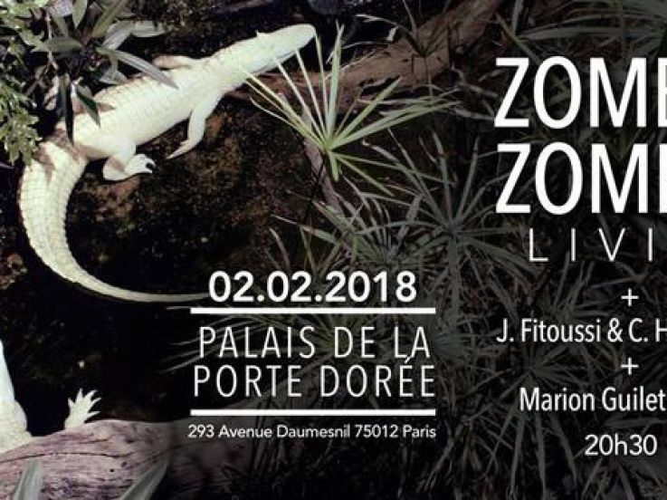 Zombie Zombie en concert au Palais de la Porte Dorée