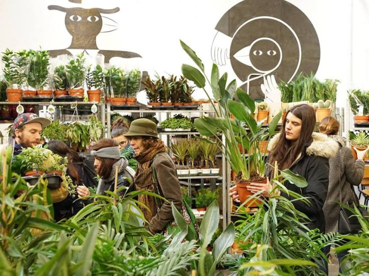 Nouvelle Grande Vente de plantes au Café A à Paris les 3 et 4 février 2018