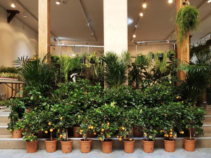 Nouvelle grande Vente de Plantes dès 2€ à l'Espace Canal Saint Martin