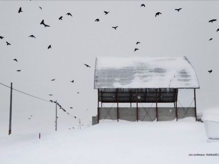 "En dessous de zéro" : expo photo de Christophe Jacrot à la Galerie de l'Europe