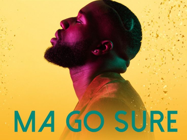 Vegedream en concert au Zénith de Paris en juin 2019