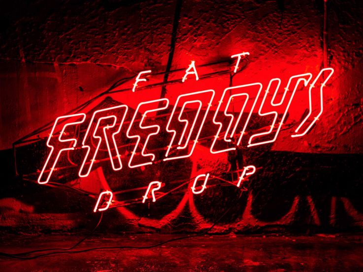 Fat Freddy's Drop en concert à l'Olympia de Paris en novembre 2019