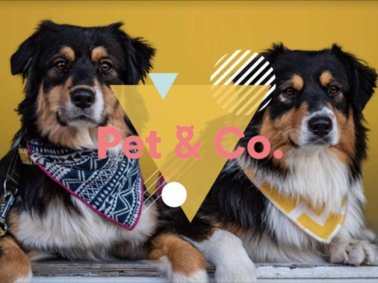 Pet & Co. de retour à Ground Control