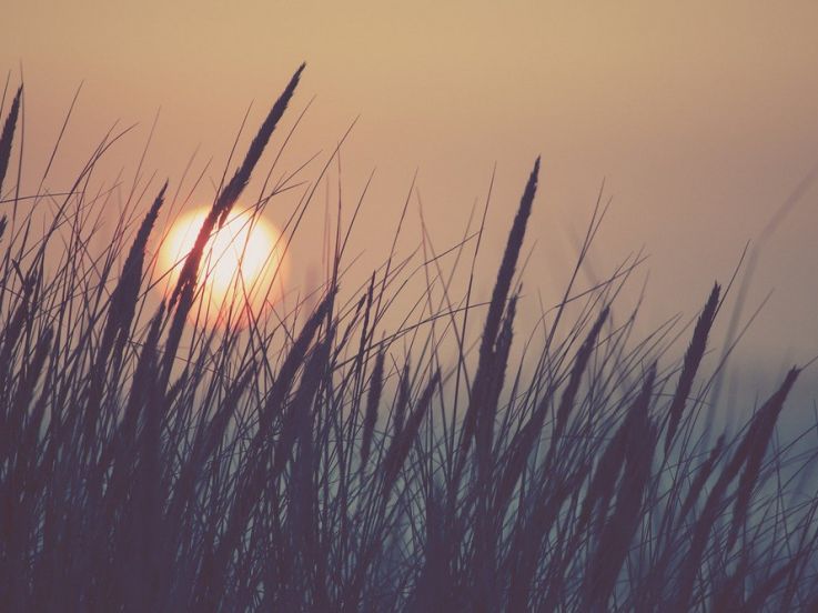 Coronavirus : au village naturiste du Cap d'Agde, près de 30% de cas positifs