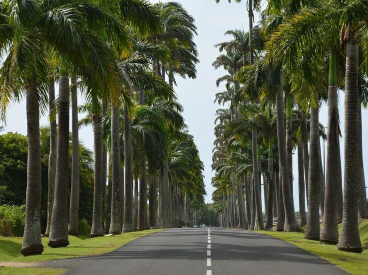 Covid: en Guadeloupe, le préfet annonce la mise en place d'un couvre-feu de 22h à 6h