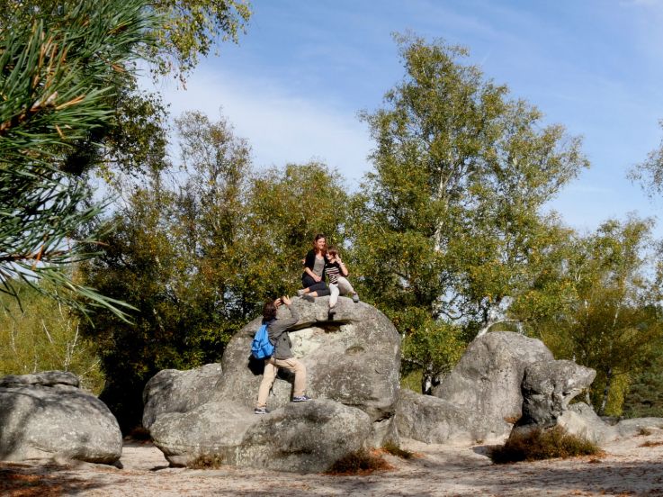 Tourisme de nature en Île-de-France : des idées de séjours bien-être au Pays de Fontainebleau 