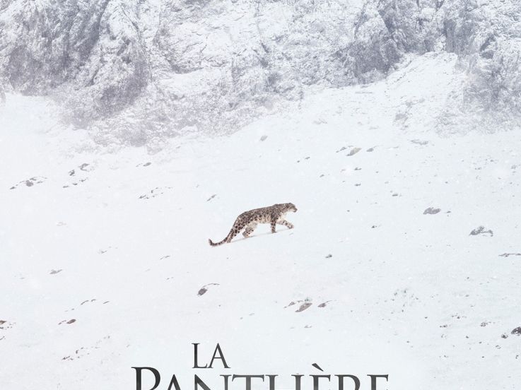 La Panthère des neiges : le docu de Marie Amiguet avec Vincent Munier et Sylvain Tesson