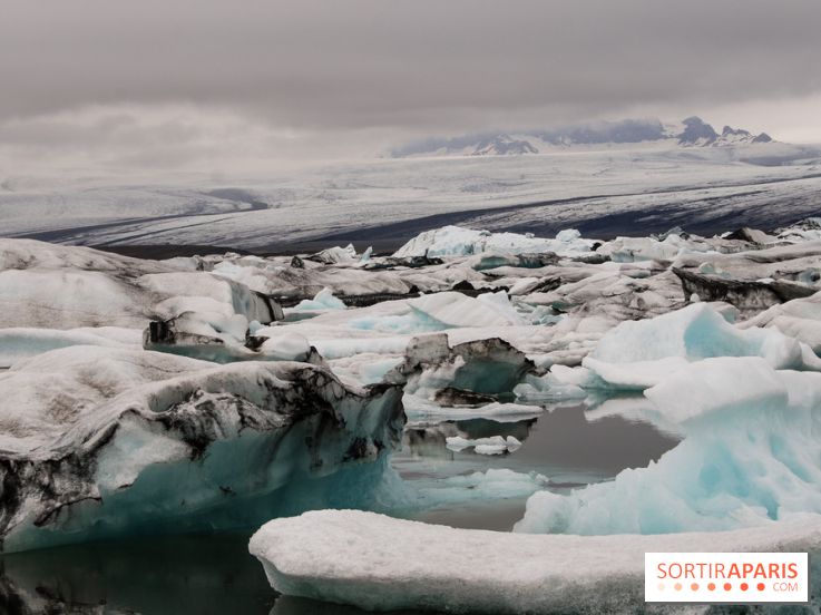 Íslenska Vikan : la semaine islandaise s'installe à L'Entrepôt à Paris cet été