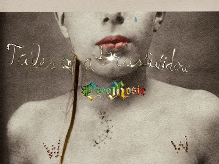 Sortie du nouvel album de Cocorosie "Tales of A Grass Widow"