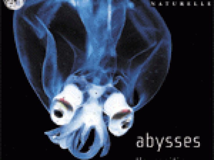 abysses
