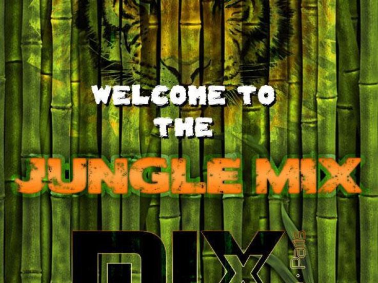 Erasmus Paris : Welcome To The Jungle Mix