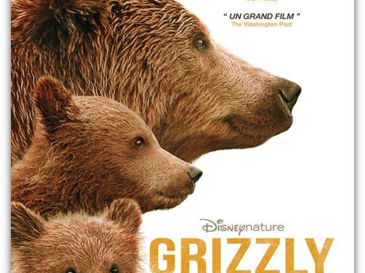 Grizzly