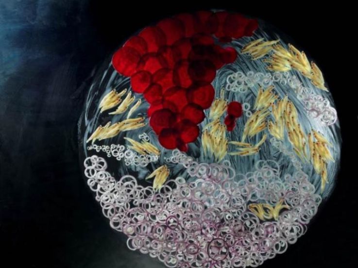 Mathilde de l'Ecotais s'expose dans les passages de Bercy Village