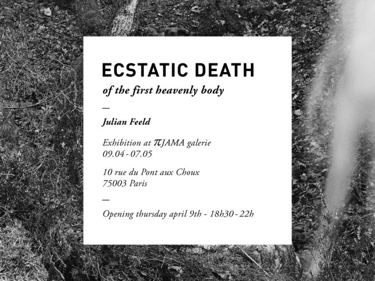 Julian Feeld à la galerie Pijama