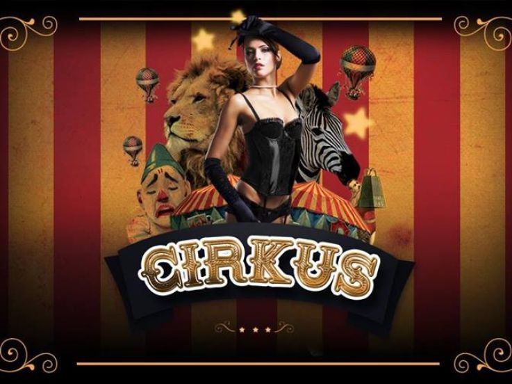 Cirkus aux Étoiles : la dernière !