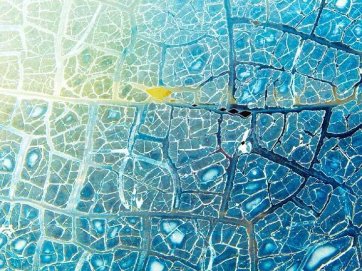 Marcel Crozet s'expose à l'Orangerie du Sénat