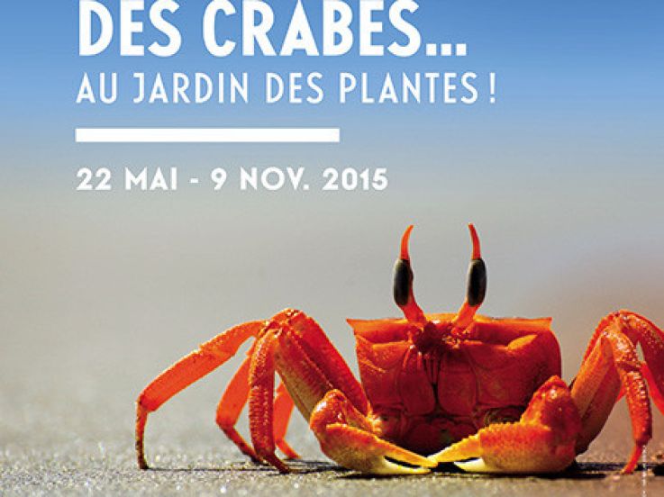 Des crabes au Jardin des Plantes, l'expo nature à ne pas manquer !