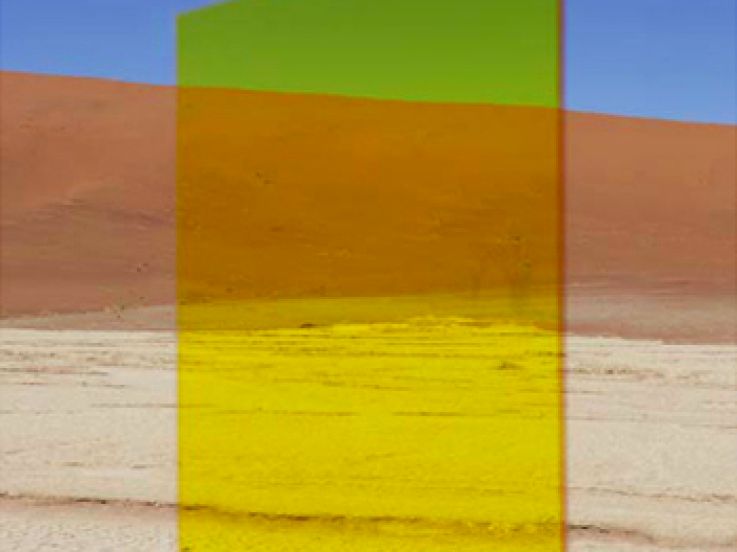 Viviane Sassen à l'Institut Néerlandais
