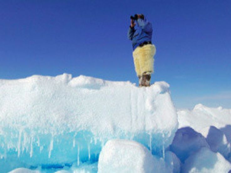 L'appel du froid, l'exposition de Michel Rawicki au jardin du Luxembourg