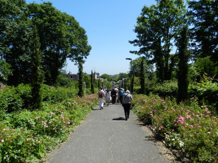 La Seine-Saint-Denis ouvre ses jardins : activités gratuites !