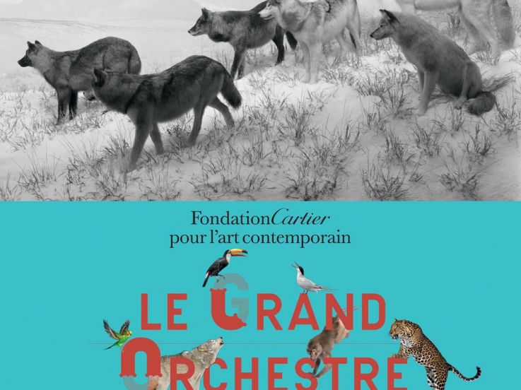 Le Grand Orchestre des animaux, l'expo à la Fondation Cartier