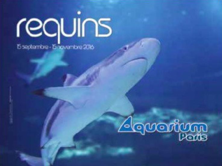 L'histoire des requins, l'expo de l'Aquarium de Paris