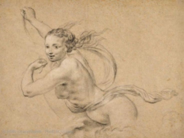 Dessiner la grandeur, l'exposition de dessins de Gênes au musée du Louvre