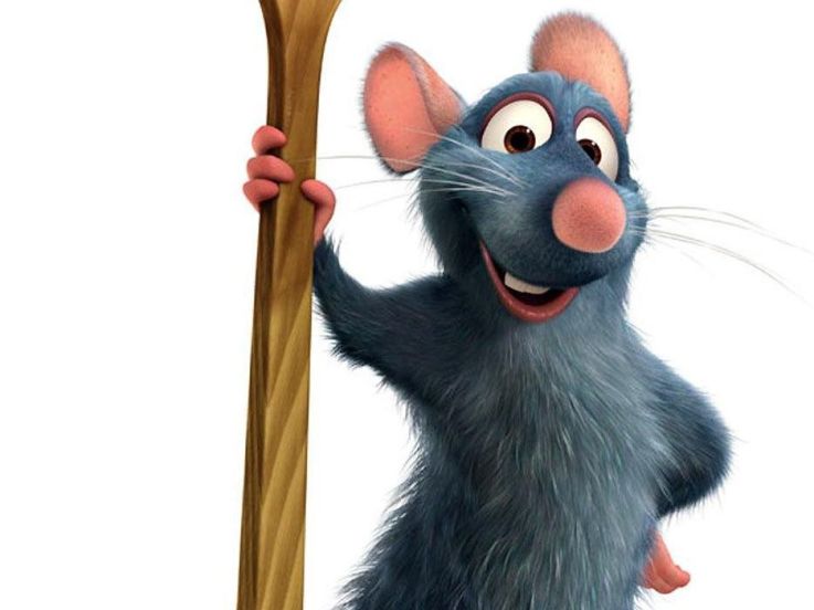 Croisière culinaire spéciale Ratatouille et cinéma en plein air 