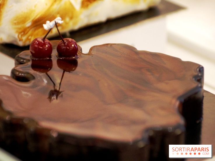 Bûche Gâteaux Thoumieux