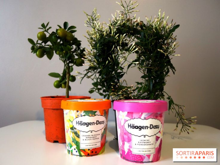 Hägen Dazs nouvelle recette printemps 2019