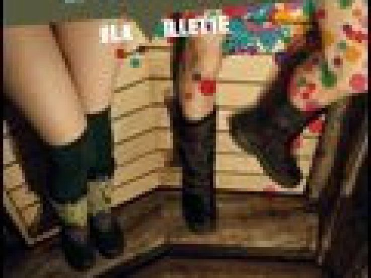 des auteurs des cirques
