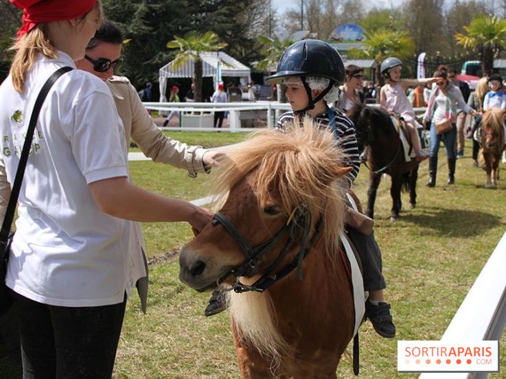 Les Dimanches au Galop 2015