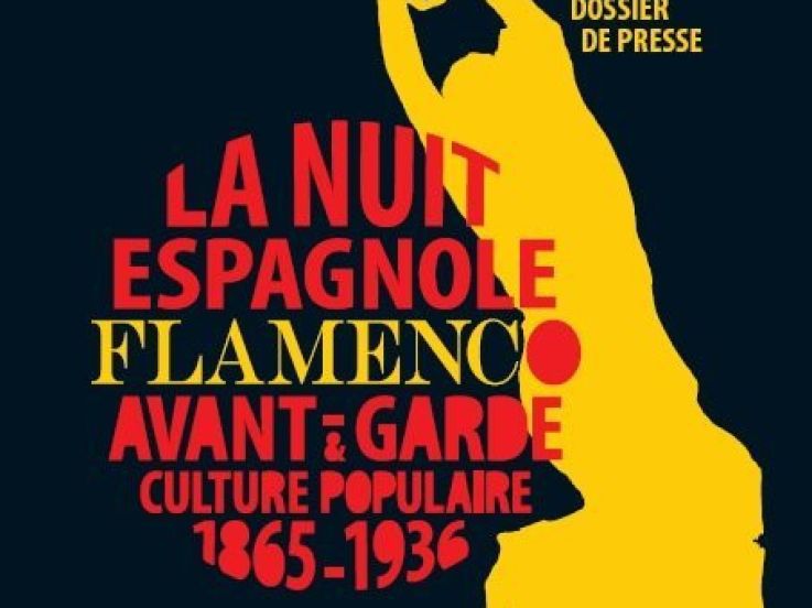 Exposition, Culture, Paris, Petit Palais, Nuit Espagnole, Flamenco