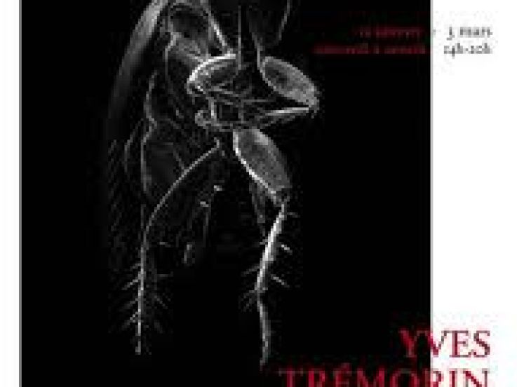 Yves Trémorin, “Soleils noirs“, electronogrammes 2009-2011