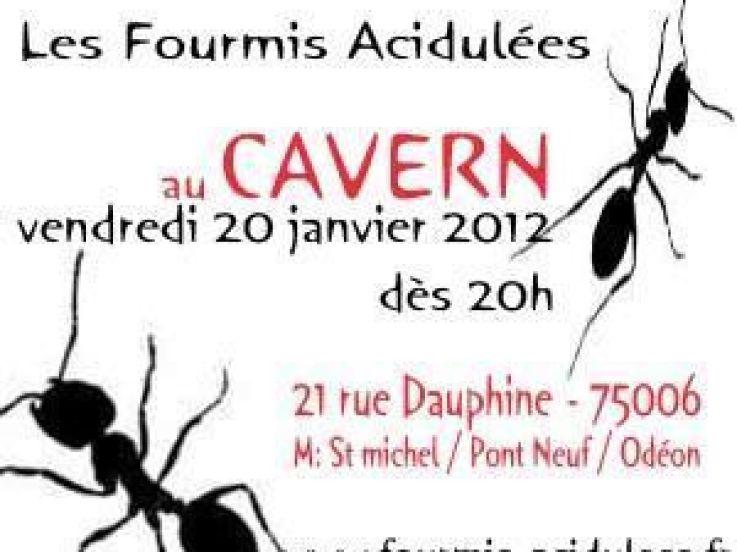 concert rock Fourmis Acidulées