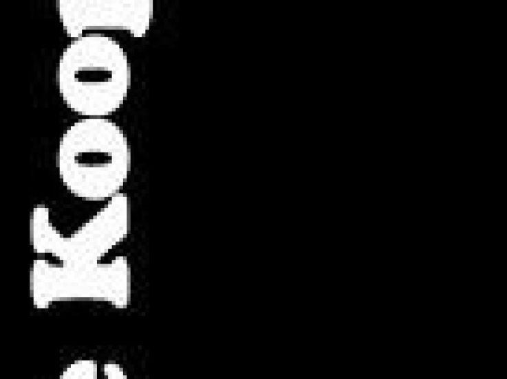 Shopping, Mode, The Kooples, Paris, Shopping, Kate Moss