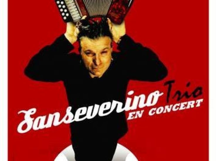 Concert, Paris, Sanseverino, Bouffes du Nord