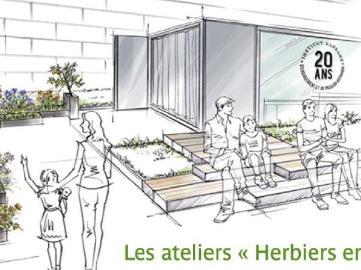 Les ateliers Herbiers en Scène de l’Institut Klorane 