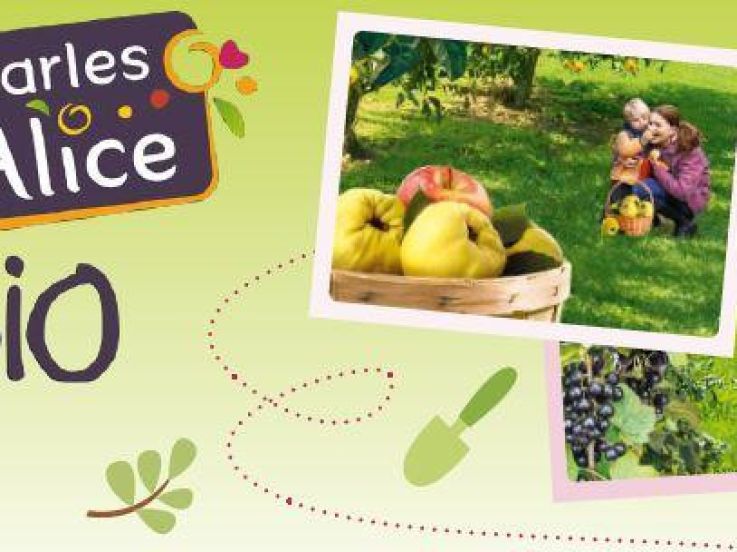 Ateliers du potager pour enfants Charles & Alice au Jardin d'Acclimatation