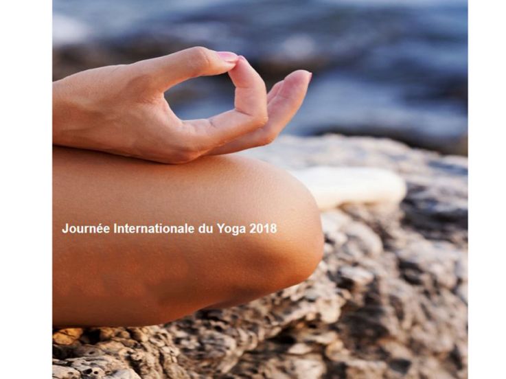 Journée internationale du yoga 2018 au Parc de la Villette