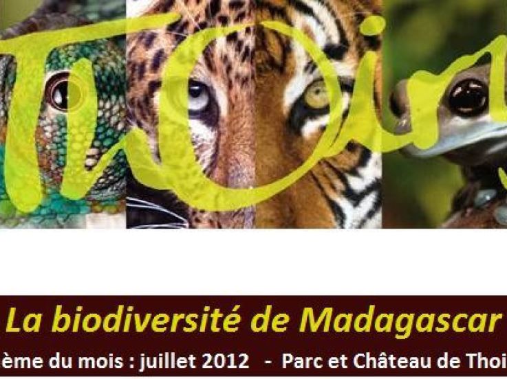 Madagascar à l’honneur au Parc de Thoiry