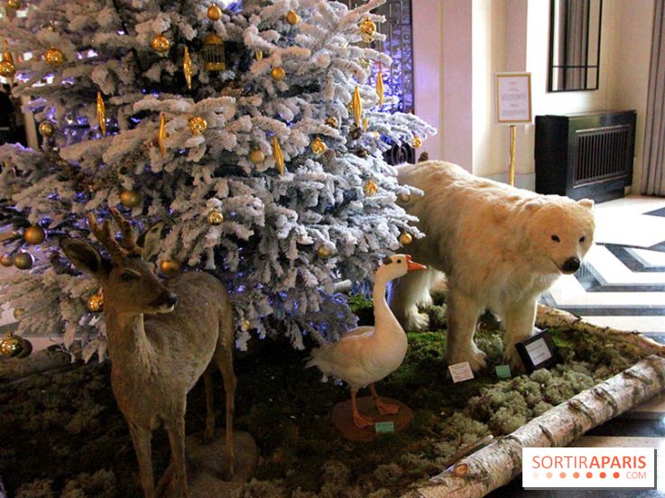 Noël au Trianon palace avec Deyrolle